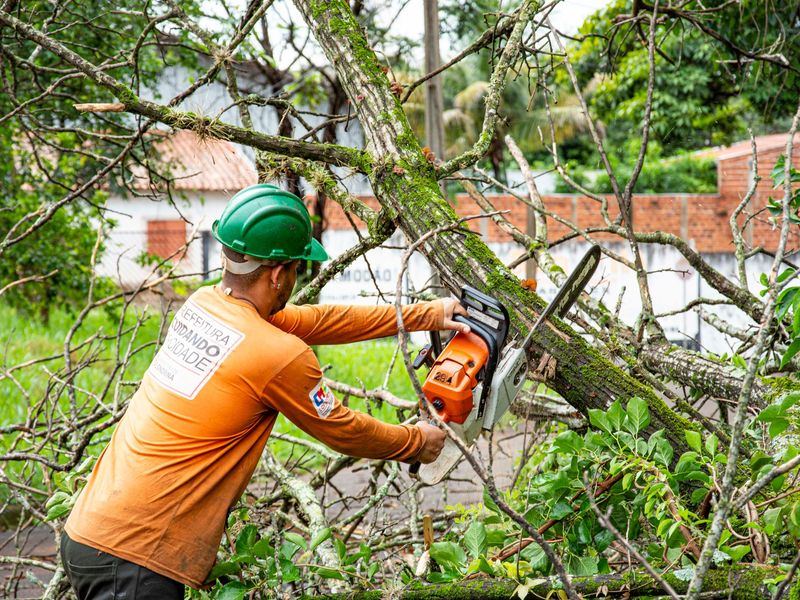 Tree removal job near Dentsville, SC