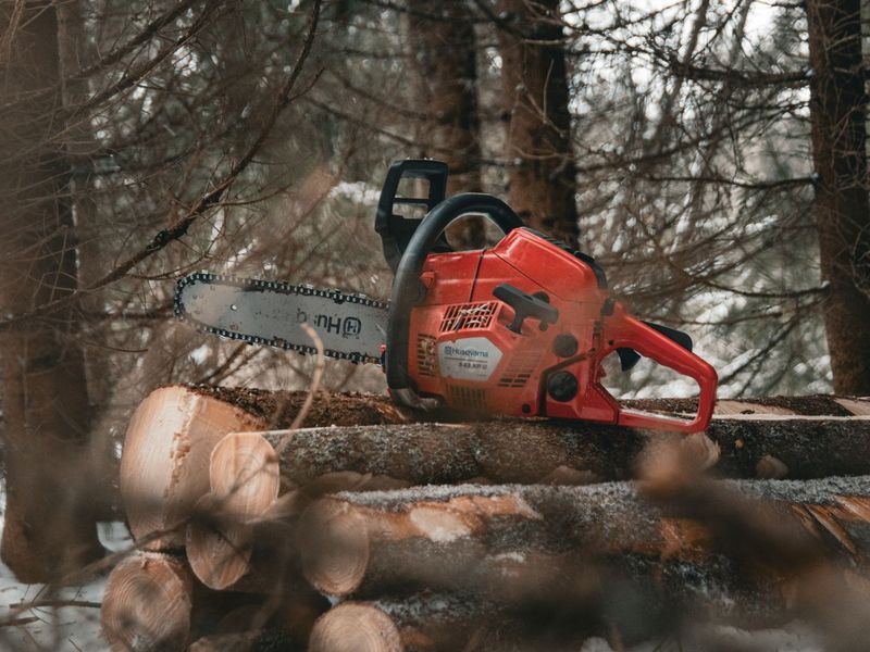 Tree removal job in the Heathwood neighborhood of Columbia
