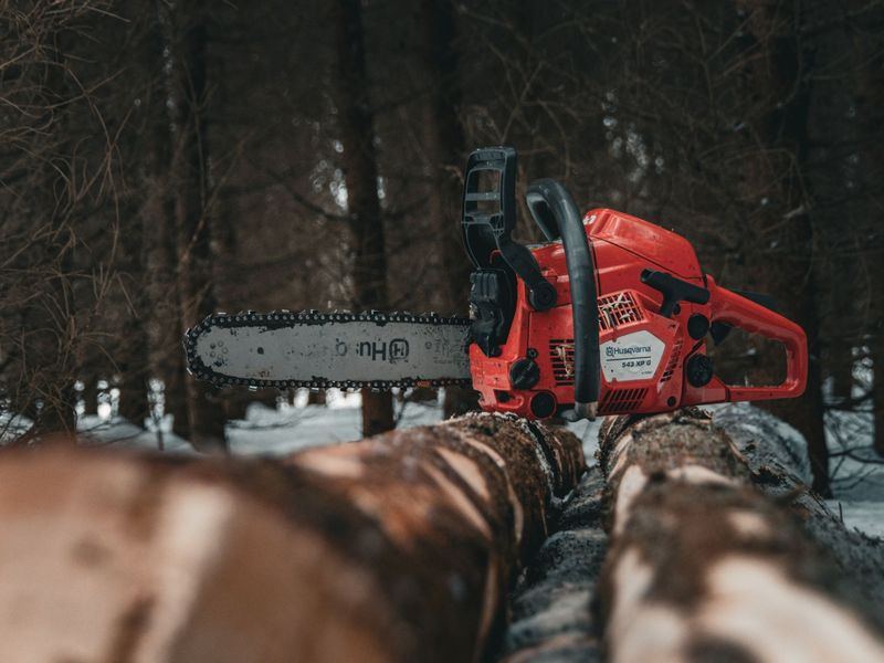Tree removal job near Red Bank, SC