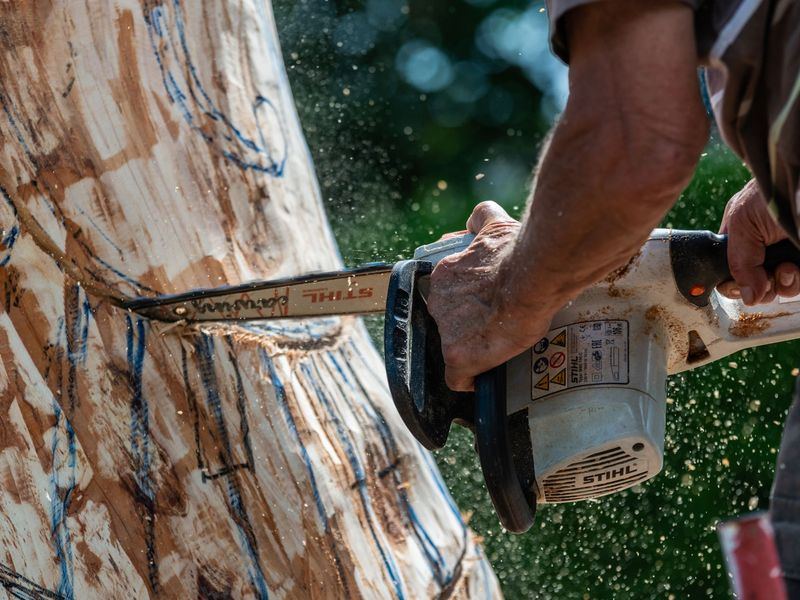 Tree removal job near Seven Oaks, SC