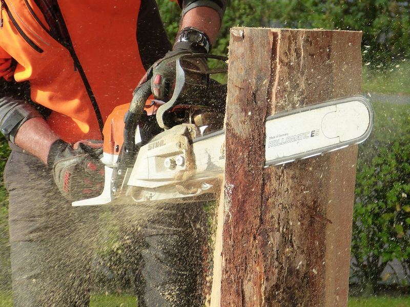 Tree removal job near Springdale, SC